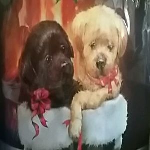 Meet your Posher, Mamie